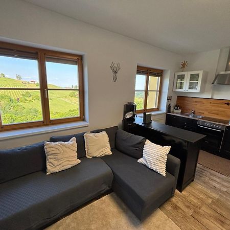 Glanz Und Gloria Weingartenapartment An Der Kellerstrasse, Viele Buschenschaenke, Sehr Ruhige Lage, Herrliche Aussicht! Leutschach Extérieur photo